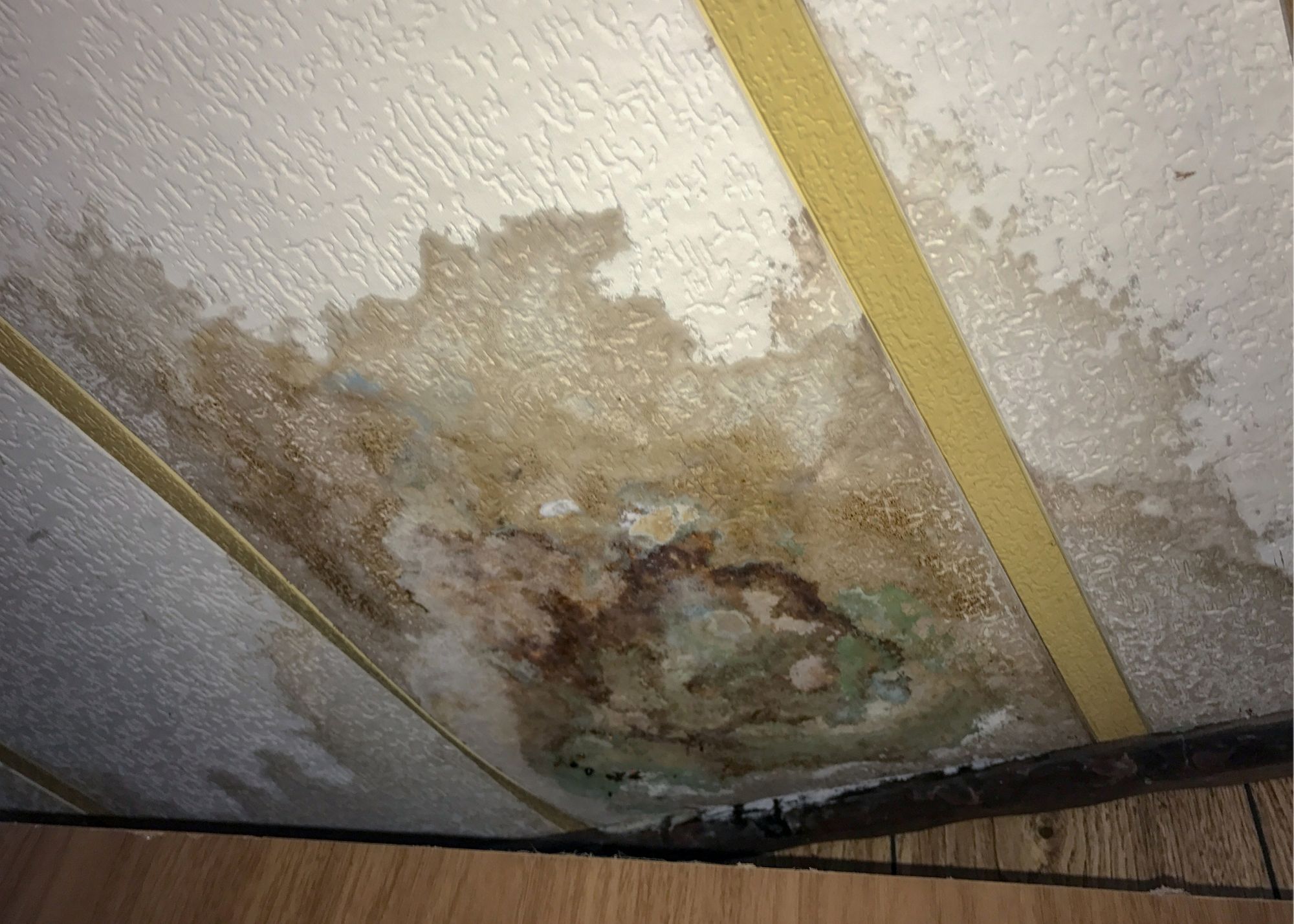 A technician taking moisture readings on a stained ceiling in an Austin, TX home