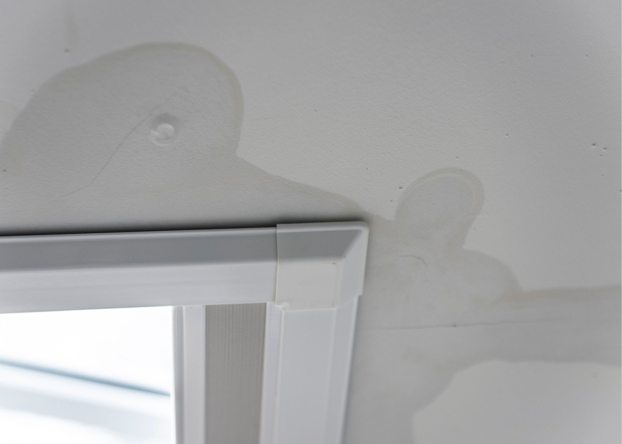 A technician inspecting a subtle ceiling stain for hidden water damage in an Austin, TX home