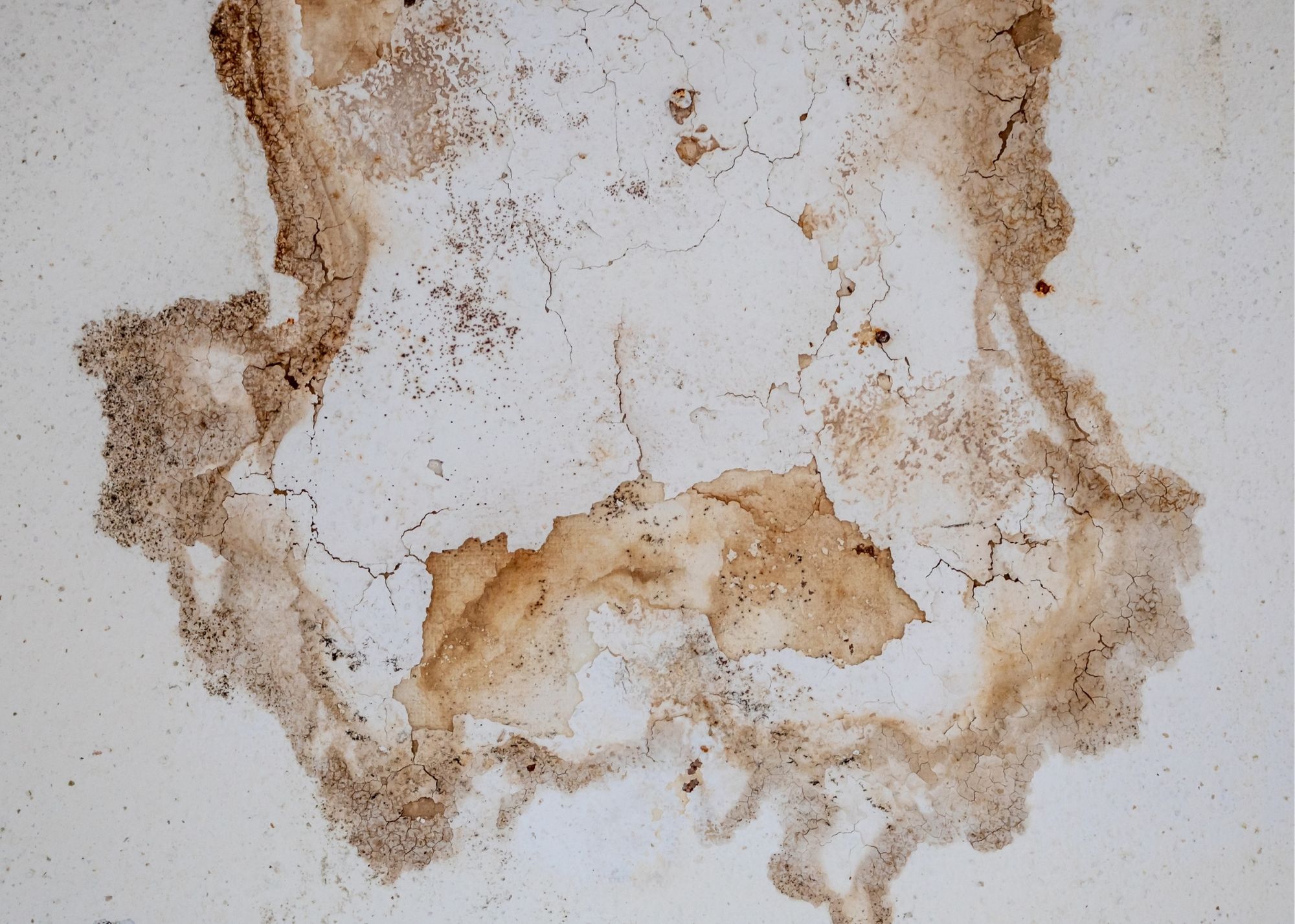 A water stain on a wall from a hidden leak in an Austin, TX home